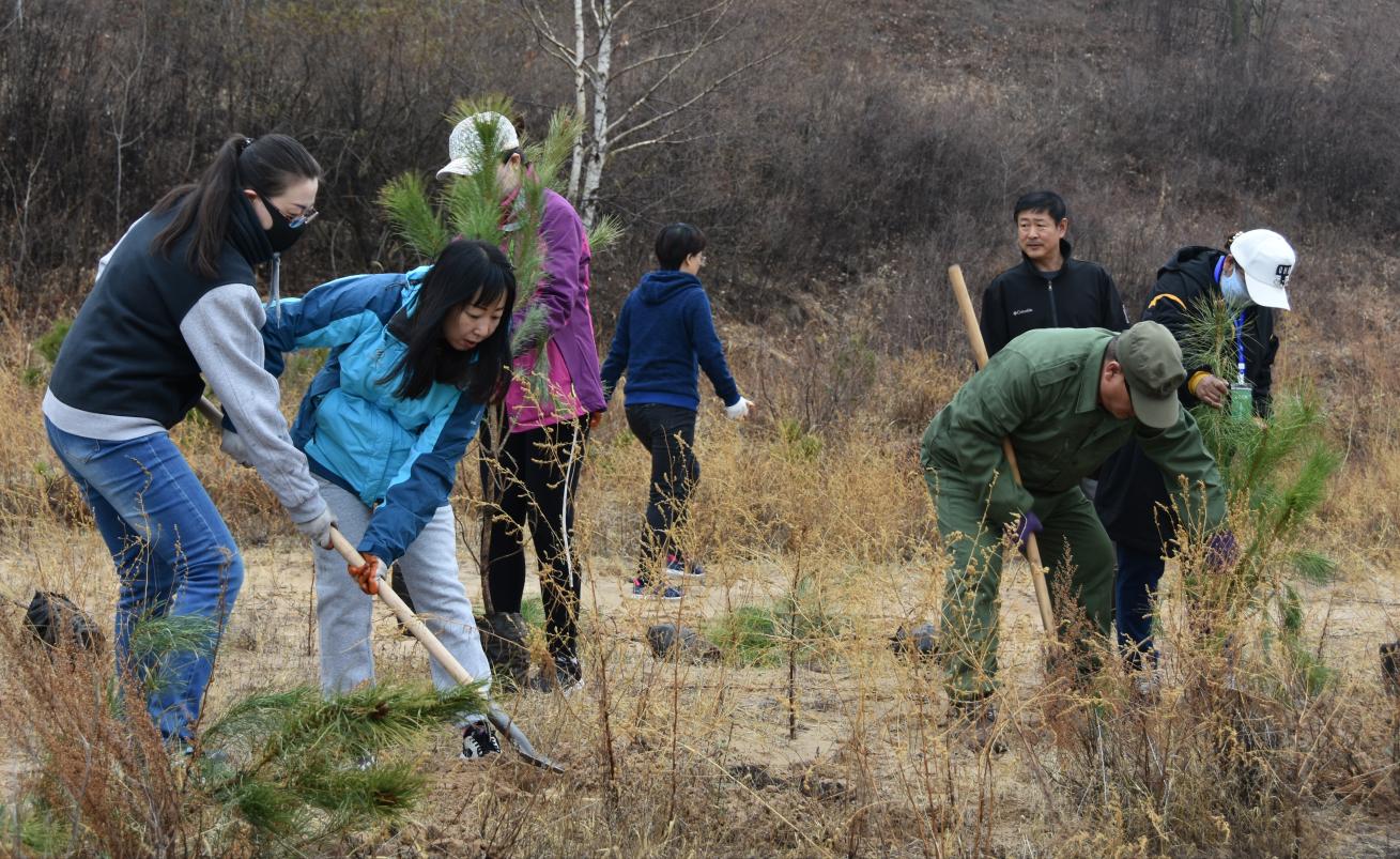 做塞罕坝精神的践行者—围场分公司组织植树造林活动
